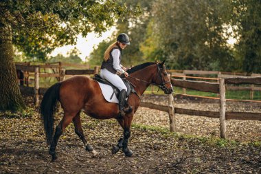 Genç ve güzel bir kadın jokey bir gösteri atlama yarışmasına hazırlanıyor. Bir kadın binici kahverengi bir yarış atı sürüyor. Kadın jokey ata biniyor.