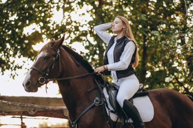 A young female jockey is sitting on her horse in show jumping training. Preparing for the competition. Love for horses.