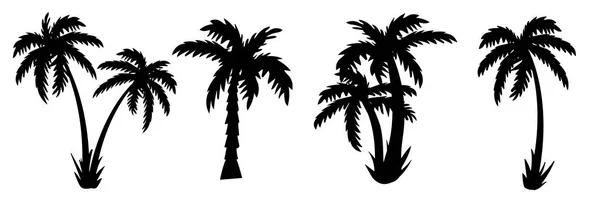 棕榈树 棕榈树的轮廓 — 图库矢量图片