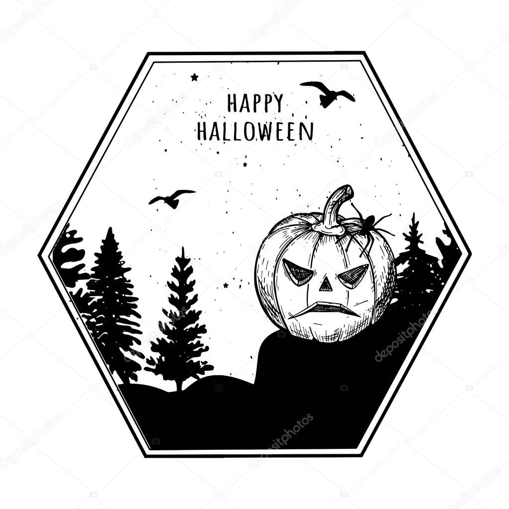 pumpkin with a spider on the background of the silhouette of the forest in a polygonal frame. sketch. halloween. Vector graphics. eps