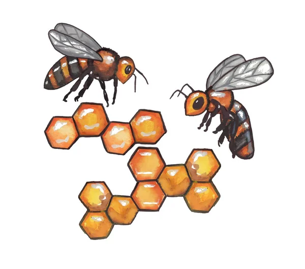 Včely Akvarely Přeletějí Plástve Medu Vektor Skica Formt Eps — Stockový vektor