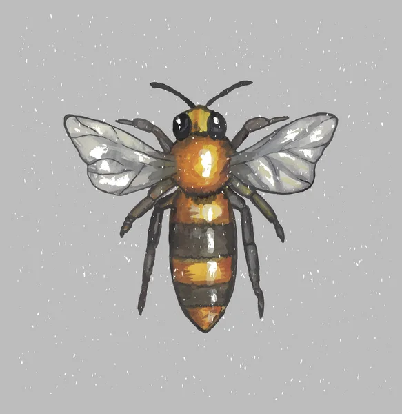 Bee Gray Background Watercolor Vector Eps Format — 스톡 벡터