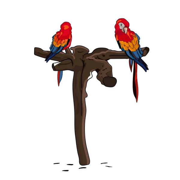 Papağan Bir Ağaçta Oturuyor Vektör Çizimi Eps — Stok Vektör