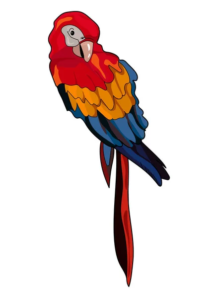 Papagei Auf Weißem Hintergrund Vektorillustration Eps — Stockvektor