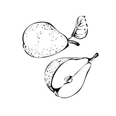 Beyaz izole edilmiş bir armutun vektör çizimi. Eskiz, pankart, menü ve logo. Siyah ve beyaz özet.