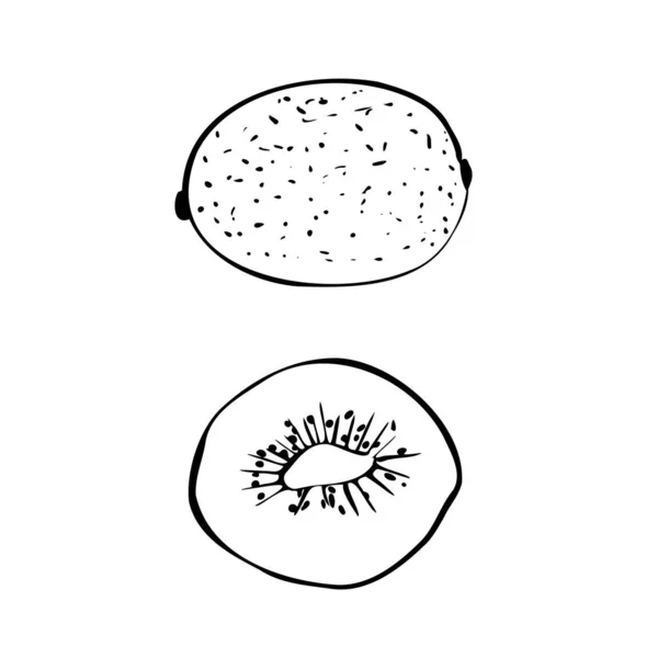 Illustration vectorielle d'un kiwi coloré sur fond blanc isolé. contour noir et blanc. — Image vectorielle