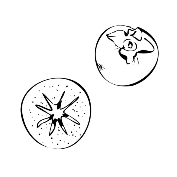 Persimmon Fruchtgrafik Zeichnung. Aquarell Persimmons auf weißem Hintergrund. — Stockvektor