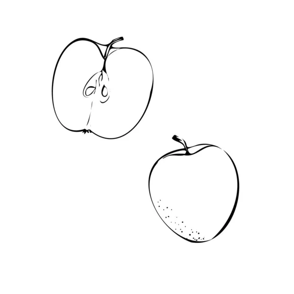 Векторная иллюстрация красного яблока на белом изолированном фоне. Эскиз магазина, баннер, меню и логотип. — стоковый вектор