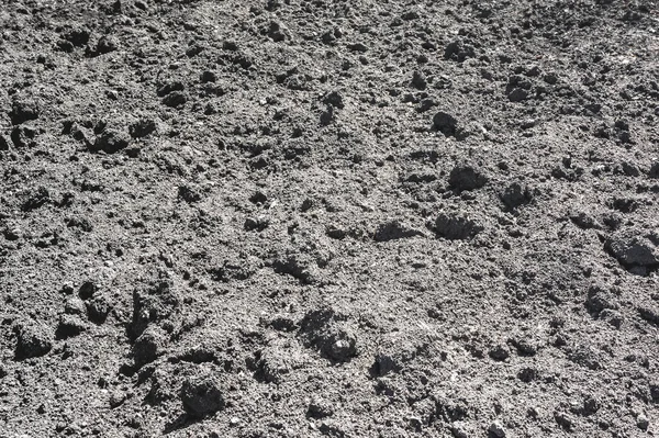 Spring gardening works. The plowed black earth is prepared for planting vegetables. As a natural background.