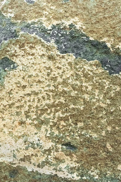 Natural stone drawing . The texture and background of the stone covered with mold.