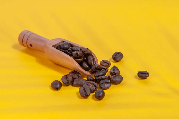Coffee beans  with shadows from a palm tree in a coffee spoon scattered on a yellow background.