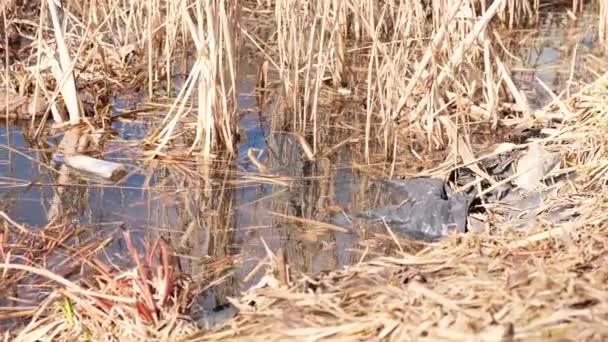 Contaminación Ambiental Botellas Plástico Bolsas Basura Río Lago Basura Contaminación — Vídeos de Stock