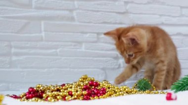 Zencefilli tekir kedicik Noel oyuncaklarıyla oynuyor. Noel ve yeni yıl tatili konsepti