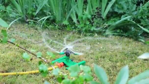 Un rociador de césped automático restaura y riega el jardín. En cámara lenta. Concepto de cuidado del jardín, jardinería, equipo de jardín automático — Vídeo de stock