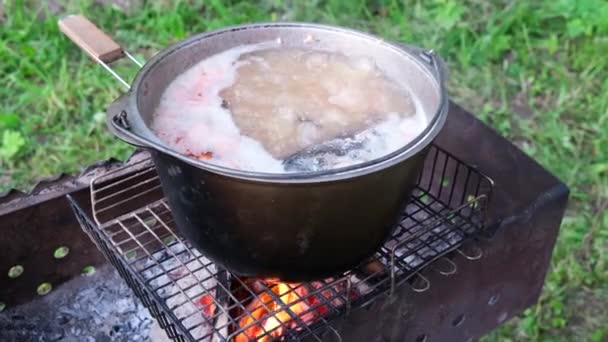 Far bollire la zuppa di pesce in una pentola sul fuoco. Escursione nella natura. Il concetto di attività all'aperto, campeggio, picnic, pesca, cucina, viaggi e turismo, vacanza — Video Stock