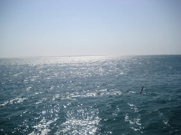 Море и солнце — стоковое фото