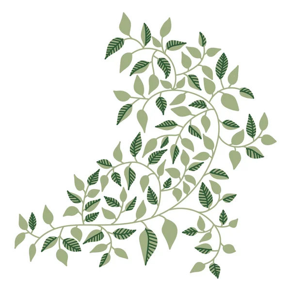 Duvardan kayan yeşil loach yapraklı asma sarmaşıkları veya tasarım için çit dekorunun vektör çizimi