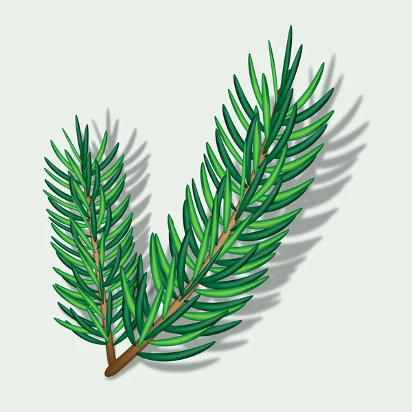 Yeşil yemyeşil ladin dalının vektör çizimi. Dallar yemek yiyordu. Beyaz arka planda izole edilmiş. Grafik tasarımı.