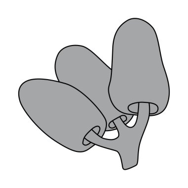 El çizimi mantar çizimi. Vektör sonbahar orman bitkileri çizimleri. Yemek tarifi, menü, etiket, ikon için mükemmel. Botanik mantar kümesi ana hatları