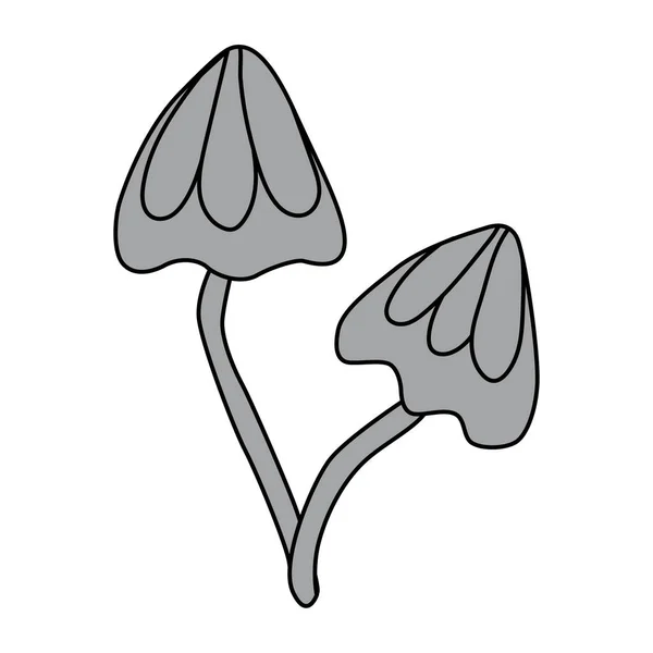 El çizimi mantar çizimi. Vektör sonbahar orman bitkileri çizimleri. Yemek tarifi, menü, etiket, ikon için mükemmel. Botanik mantar kümesi ana hatları
