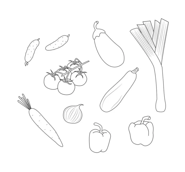 Légumes Végétariens Légumes Décrivent Ensemble Vectoriel Minimal Récoltez Les Légumes — Image vectorielle