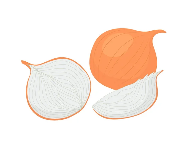 Cebolla Entera Mitad Rebanada Set Vectores Estilo Plano Vegetales Frescos — Vector de stock