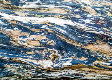 Güzel ahşap doku. Eski bir yıpranmış ağaç. Arka plan için doğal doku. Ağaç kabuğu olmayan yaşlı ağaç