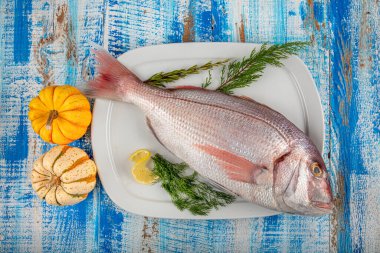 Kırsal ahşap zemindeki balıklar - yaygın denteks, pembe denteks, denteks denteks gibbosus.