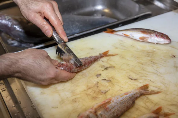 Şef Mutfaktaki Kırmızı Kefal Balığını Temizliyor Pişirmek Için Hazırlıyor — Stok fotoğraf