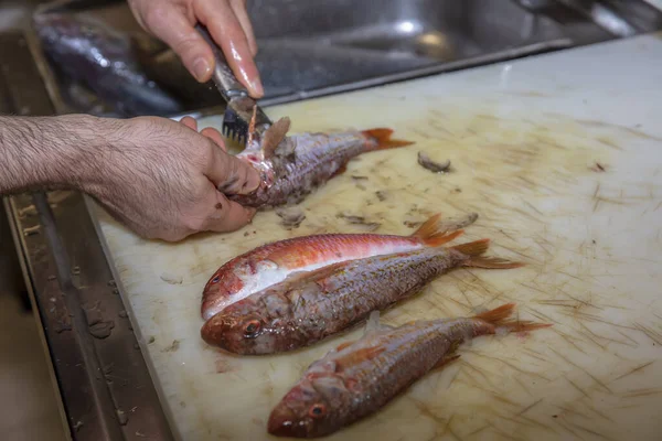 Şef Mutfaktaki Kırmızı Kefal Balığını Temizliyor Pişirmek Için Hazırlıyor — Stok fotoğraf