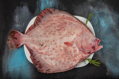 Taze Turbot balığı ya da yassı balığı kapat (Psetta maxima). Ahşap zeminde Psetta maxima (Turbot Balığı).