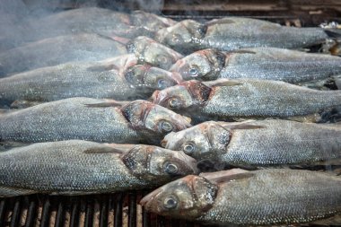 Izgara levrek balığı yakın plan. İşlem halinde. Avrupa levreği, aşçı mutfakta ızgara yapıyor.