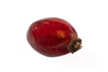 Taze koparılmış gül kalçalar. Gül kalçası ya da gül kalçası tam kare, yaygın olarak köpek gülü olarak bilinir (Rosa canina).