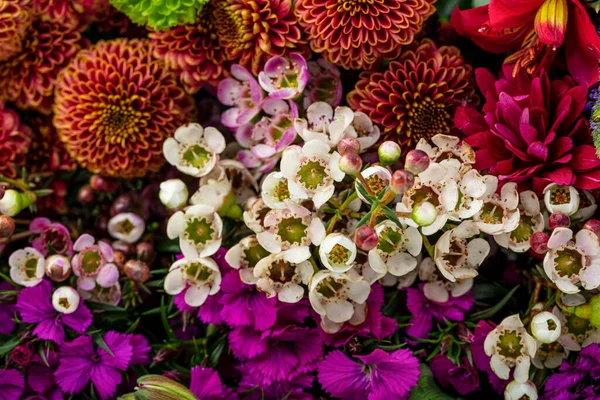 Fragment Schöner Blumenstrauß Frischer Sommerblumenstrauß Studio Schuss Isoliert Auf Weißem — Stockfoto