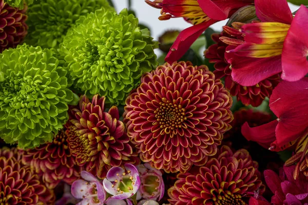 Fragmento Belo Buquê Flores Estúdio Buquê Flores Verão Fresco Tiro — Fotografia de Stock