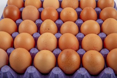 paketleme; kahverengi kutu; beyaz arkaplanda izole edilmiş bej yumurta; üst görünüm; 10 parça