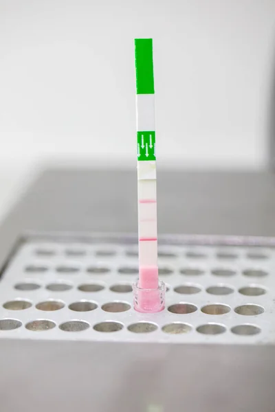 Sistema Detección Inhibidores Antibióticos Leche Animales Prueba Antibiótico Leche Veterinario — Foto de Stock