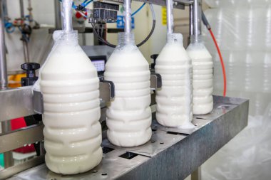 Fabrikada sütü plastik şişelere dolduruyorum. Mandıra fabrikasındaki ekipman. Süt şişeleme makinesi.