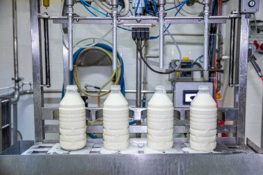 Fabrikada sütü plastik şişelere dolduruyorum. Mandıra fabrikasındaki ekipman. Süt şişeleme makinesi.