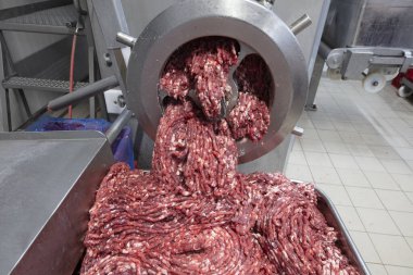 Öğütücüdeki et. Et endüstrisi. Kıymalı et endüstriyel kıyma makinesinden çıkarılıyor..