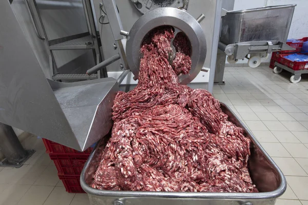 The meat in the Grinder. the meat industry. Minced meat being extruded from an industrial mincing machine.