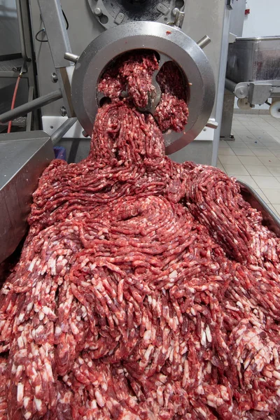 The meat in the Grinder. the meat industry. Minced meat being extruded from an industrial mincing machine.