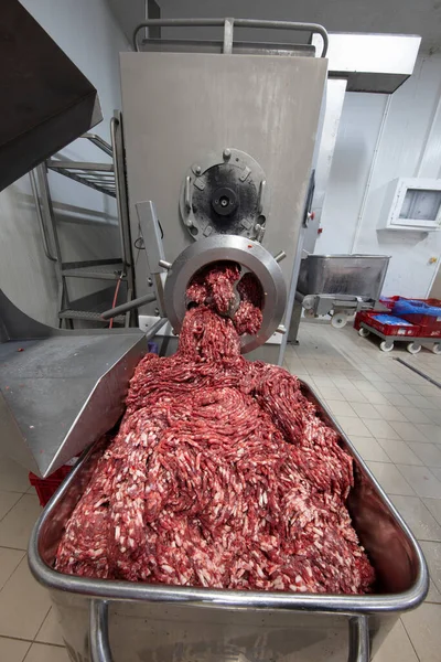 The meat in the Grinder. the meat industry. Minced meat being extruded from an industrial mincing machine.