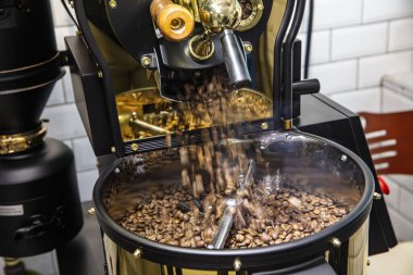 Kahve kızartma makinesi. Kavrulmuş kahve çekirdeği eli. Kapatın.