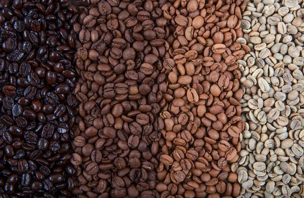 Kaffebönor Dubbelrostade Kaffepapper Som Visar Olika Rostningsstadier Från Gröna Bönor — Stockfoto