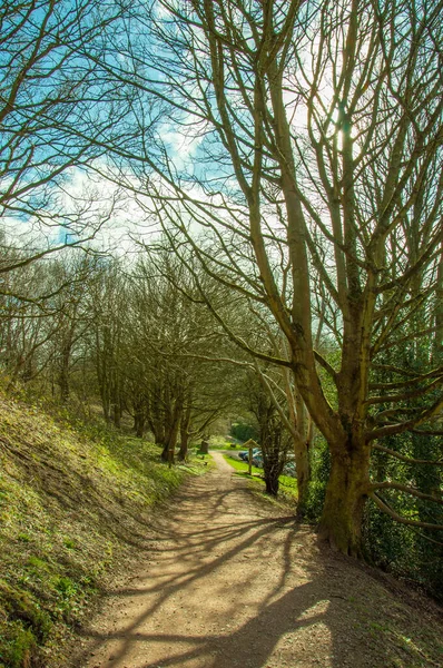 Malvern Hills Springtime — Stock Photo, Image