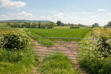 Bahar çiçekleri ve çiftçilik.