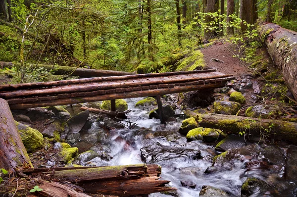 Pont en bois sur le sentier de randonnée en montagne — Photo