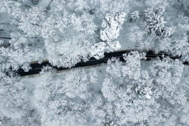 2021-01-09 Karlı Orman 'daki yolun insansız hava aracı görüntüsü. Vilnius İlçesi, Litvanya