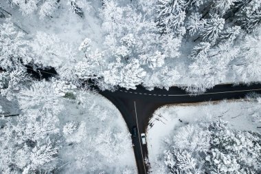 2021-01-09 Karlı Orman 'daki yolun insansız hava aracı görüntüsü. Vilnius İlçesi, Litvanya